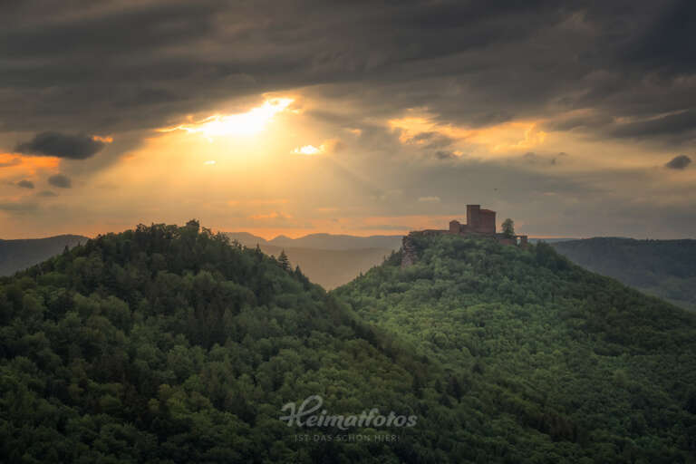 Ein Heimatfoto aus der Pfalz von Niko Benas, zeigt den Pfälzerwald mit Burg