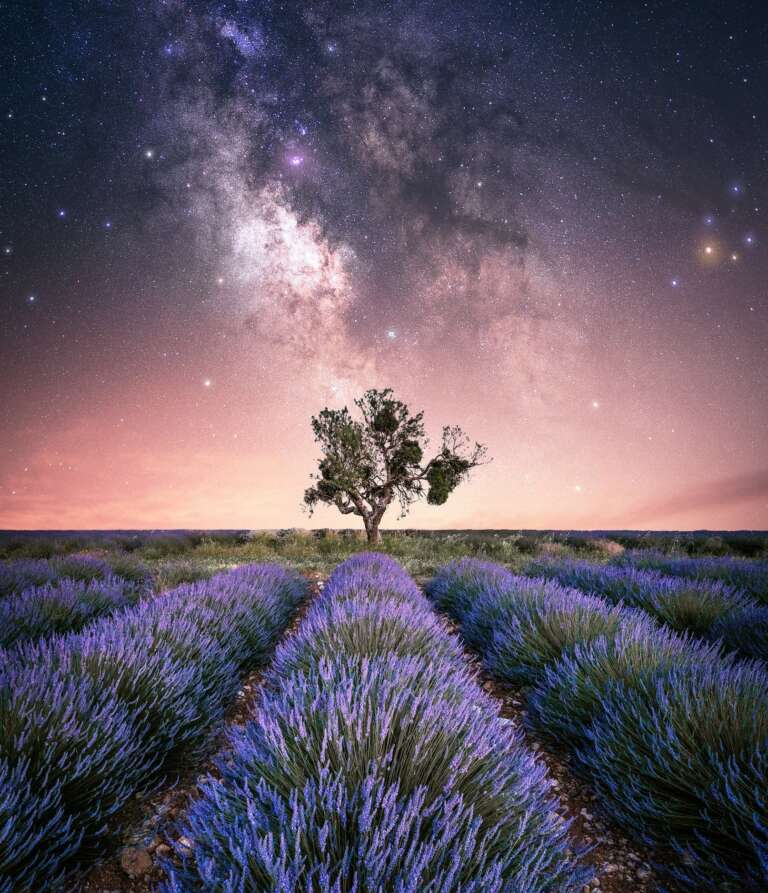 Beauty of Nature von Nacht- und Astrofotograf Stefan Liebermann - Night Shot of the Lavender fields with the Core of our Milky Way Galaxy above. This nature is beyond amazing!